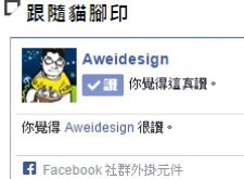 [WordPress]增加FB粉絲框跟讚在側邊攔