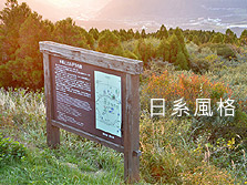 [PHOTOSHOP特效]日系風格 低對比 空靈風效果